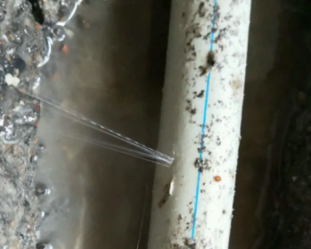 尼勒克卫生间测漏水多少钱