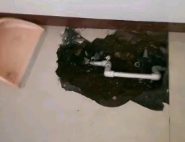 尼勒克卫生间测漏水多少钱